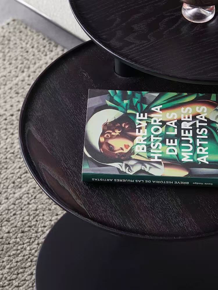 ST240可旋轉面板