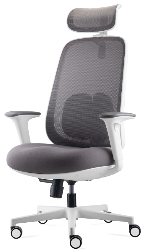 透氣網面 帶頭枕 雙腰靠 升降辦公椅JY-D269-米白框